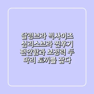 달링브라 빅사이즈 심리스브라 찐후기: 편안함과 보정력, 두 마리 토끼를 잡다!