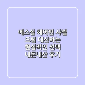 에스실 헤어핀: 샤넬 드림 대신하는 현실적인 선택 (내돈내산 후기)