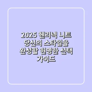 2025 헨리넥 니트: 당신의 스타일을 완성할 현명한 선택 가이드