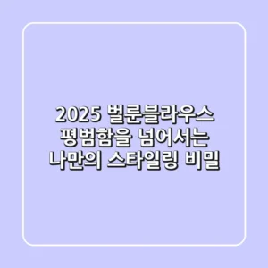 2025 벌룬블라우스, 평범함을 넘어서는 나만의 스타일링 비밀