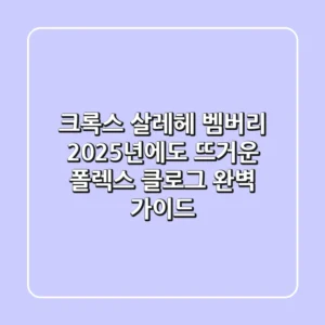 크록스 살레헤 벰버리, 2025년에도 뜨거운 폴렉스 클로그 완벽 가이드