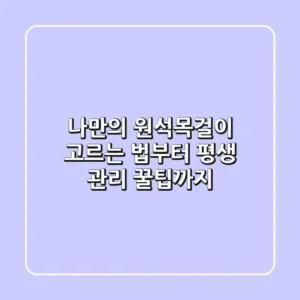나만의 원석목걸이: 고르는 법부터 평생 관리 꿀팁까지!