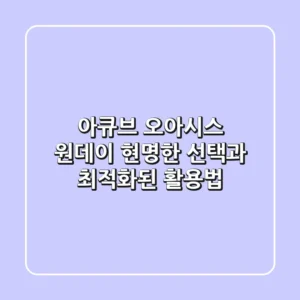 아큐브 오아시스 원데이, 현명한 선택과 최적화된 활용법
