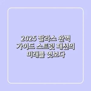 2025 팔라스 완벽 가이드: 스트릿 패션의 미래를 엿보다
