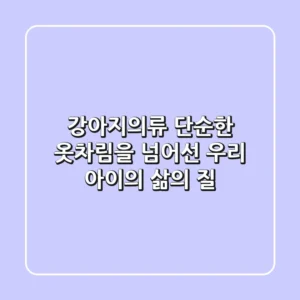 강아지의류, 단순한 옷차림을 넘어선 우리 아이의 삶의 질