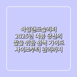 아일랜드슬리퍼, 2025년 여름 당신의 발을 위한 완벽 가이드: 사이즈부터 관리까지!