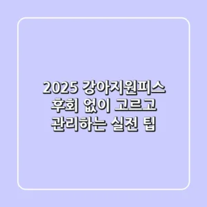 2025 강아지원피스: 후회 없이 고르고 관리하는 실전 팁