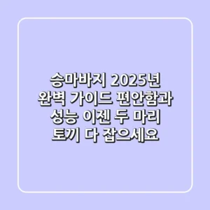 승마바지, 2025년 완벽 가이드: 편안함과 성능, 이젠 두 마리 토끼 다 잡으세요!