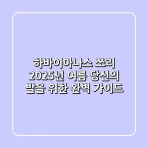 하바이아나스 쪼리, 2025년 여름 당신의 발을 위한 완벽 가이드