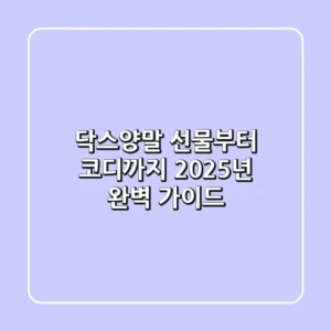 닥스양말: 선물부터 코디까지, 2025년 완벽 가이드