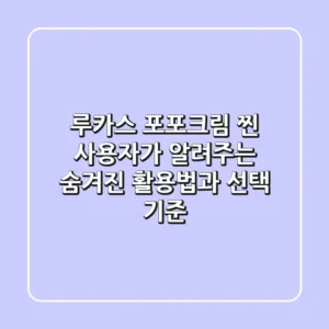 루카스 포포크림, '찐' 사용자가 알려주는 숨겨진 활용법과 선택 기준