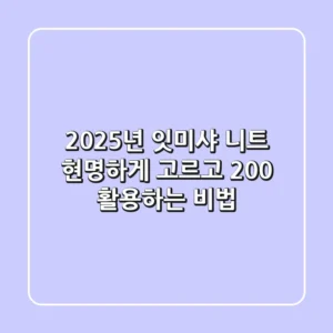 2025년 잇미샤 니트, 현명하게 고르고 200% 활용하는 비법
