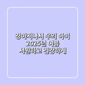 강아지나시: 우리 아이 2025년 여름, 시원하고 건강하게!