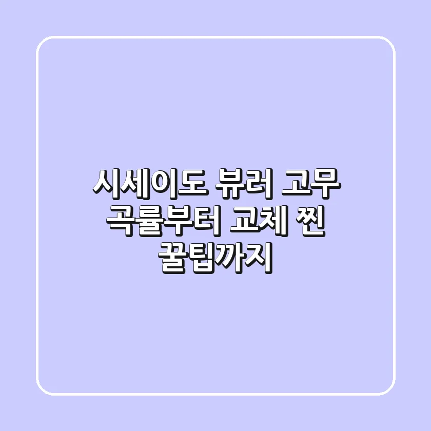 시세이도 뷰러 고무: 곡률부터 교체 찐 꿀팁까지!