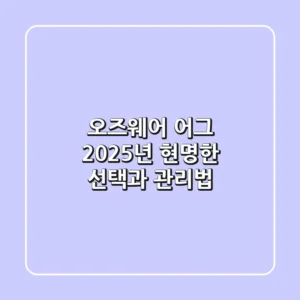 오즈웨어 어그, 2025년 현명한 선택과 관리법