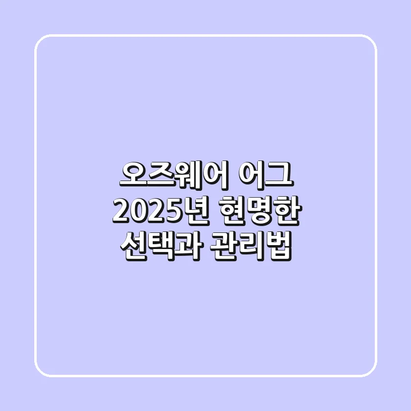 오즈웨어 어그, 2025년 현명한 선택과 관리법