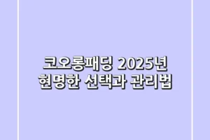 코오롱패딩, 2025년 현명한 선택과 관리법