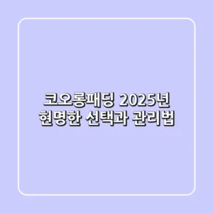 코오롱패딩, 2025년 현명한 선택과 관리법