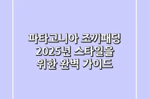 파타고니아 조끼패딩, 2025년 스타일을 위한 완벽 가이드