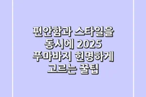 편안함과 스타일을 동시에! 2025 푸마바지, 현명하게 고르는 꿀팁