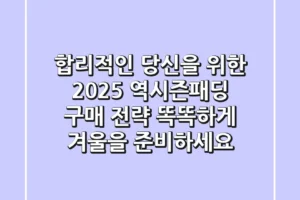합리적인 당신을 위한 2025 역시즌패딩 구매 전략: 똑똑하게 겨울을 준비하세요
