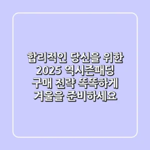 합리적인 당신을 위한 2025 역시즌패딩 구매 전략: 똑똑하게 겨울을 준비하세요