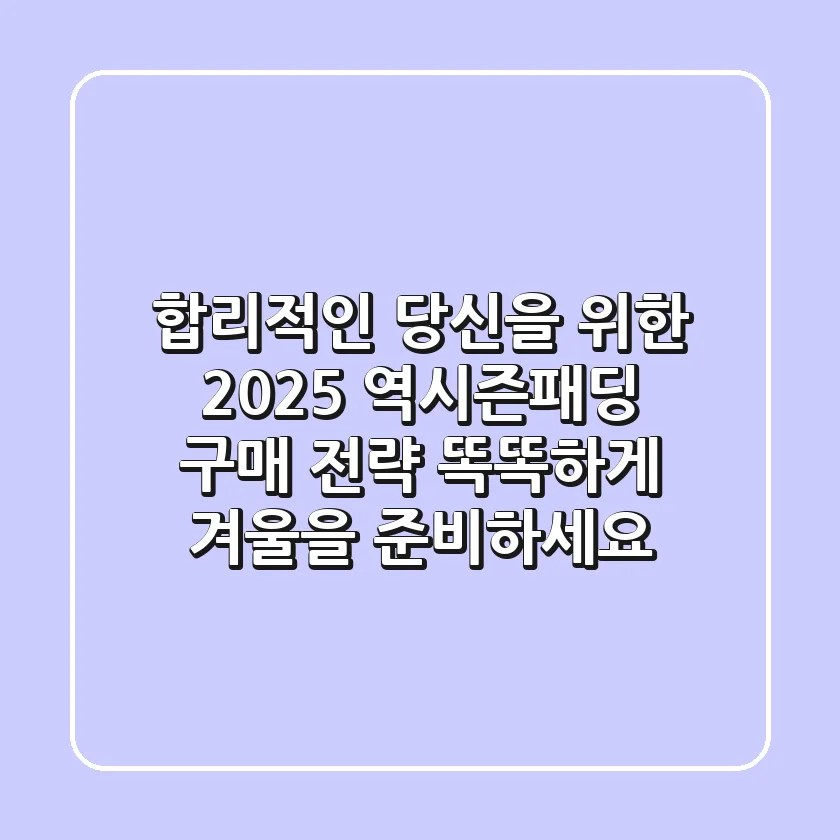 합리적인 당신을 위한 2025 역시즌패딩 구매 전략: 똑똑하게 겨울을 준비하세요
