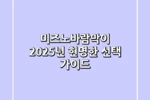 미즈노바람막이, 2025년 현명한 선택 가이드
