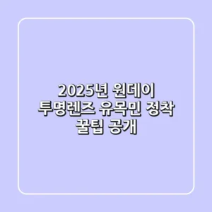 2025년 원데이 투명렌즈, 유목민 정착 꿀팁 공개!