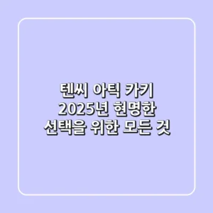 텐씨 아틱 카키, 2025년 현명한 선택을 위한 모든 것
