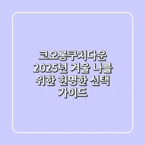 코오롱쿠치다운: 2025년 겨울, 나를 위한 현명한 선택 가이드
