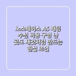노스페이스 AS 패딩 수선 비용, 구멍 난 곳도 새것처럼 만드는 현실 조언