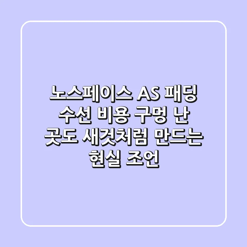 노스페이스 AS 패딩 수선 비용, 구멍 난 곳도 새것처럼 만드는 현실 조언
