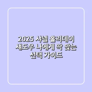 2025 샤넬 홀리데이 섀도우, 나에게 딱 맞는 선택 가이드